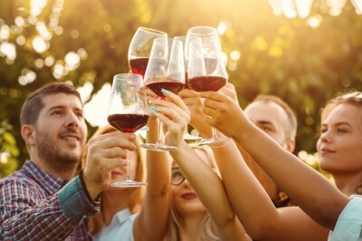 people toasting wine at a vineyard